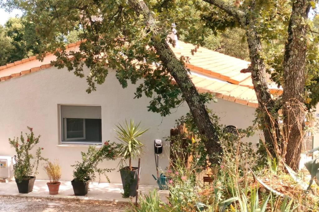 Ferienwohnung La Madoca Flayosc Exterior foto